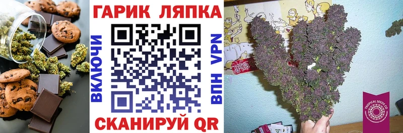 это наркотические препараты  купить наркотики сайты  Кузнецк  Canna-Cookies марихуана 