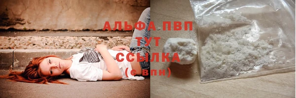 стафф Беломорск