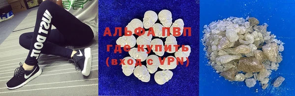 гашик Белокуриха