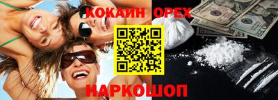 крисы Кингисепп