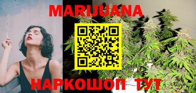 крисы Кингисепп