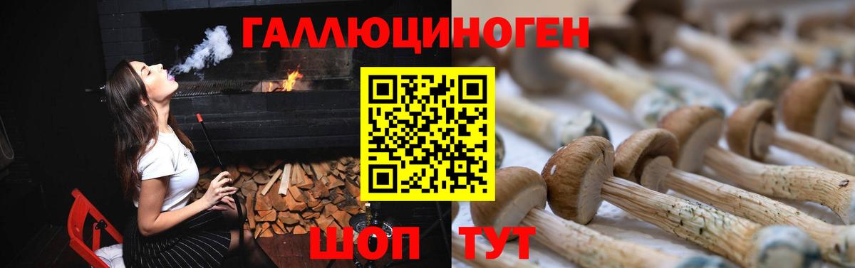 купить  сайты  Вход с VPN  Кузнецк  Галлюциногенные грибы мухоморы 